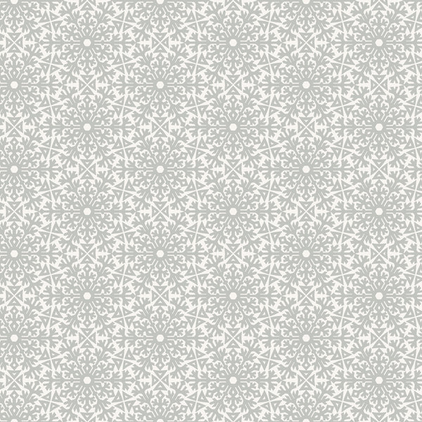 Snowfall - Frost on white