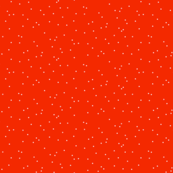 Seasons - flowers on red