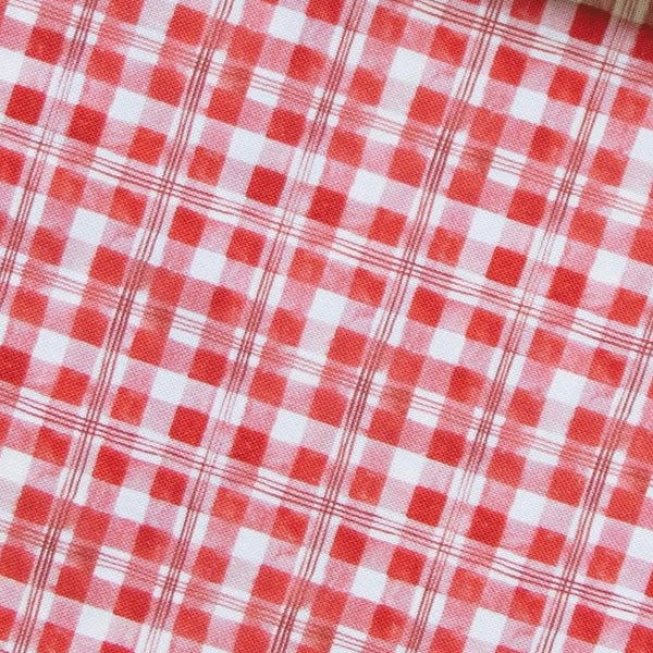 Field Trip - Gingham - red